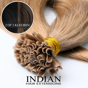 Indian Hair ~ Keratine Extensions * 2 of 3 kleuren