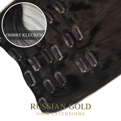 Russian Gold ~ Clip-In Extensions * Ombre Colour