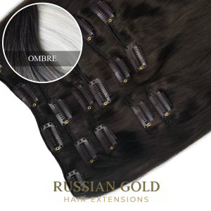 Russian Gold ~ Clip-In Extensions * Ombre 
