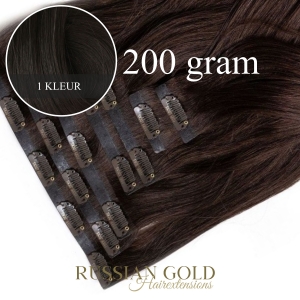 Russian Gold ~ Clip-In Extensions (200 gram) * 1 kleur Russian Gold ~ Clip-In Extensions (200 gram) * 1 kleur