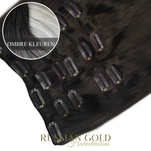 Russian Gold ~ Clip-In Extensions * Ombre Colour Russian Gold ~ Clip-In Extensions * Ombre Colour