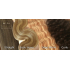Russian Gold ~ Flip-In Extensions * Ombre & Piano Colour