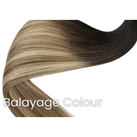 Russian Gold ~ Clip-In Extensions * Balayage