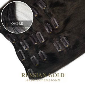 Russian Gold ~ Clip-In Extensions * Ombre Russian Gold ~ Clip-In Extensions * Ombre